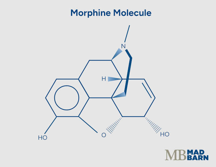 illustration of morphine molecule