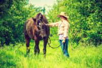 Droncit® (Praziquantel) for Horses: Uses, Side Effects & Status in Competition