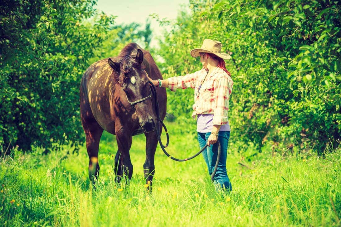 Droncit® (Praziquantel) for Horses: Uses, Side Effects & Status in Competition