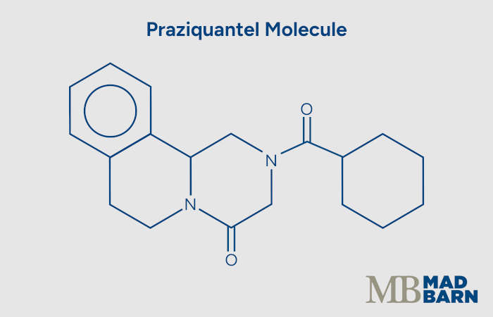 illustration of praziquantel molecule