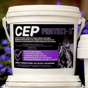 Protect-It (CEP)