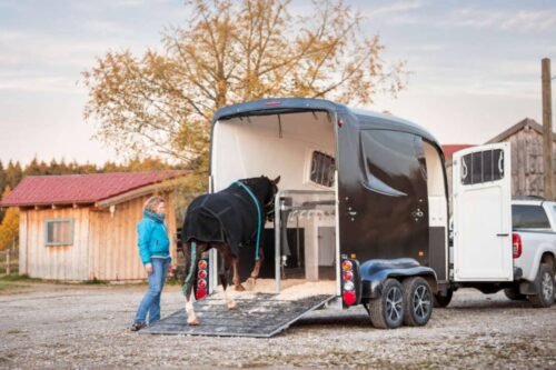 How to Teach Horses to Load into a Trailer: 4-Step Training Guide