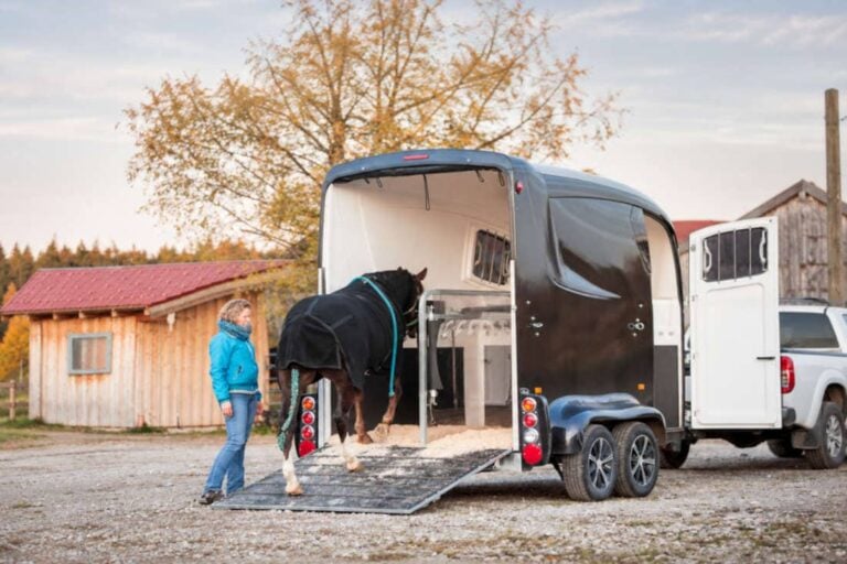 training-horses-to-load-onto-a-trailer