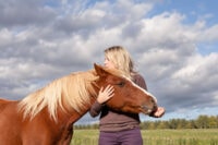 What Does it Mean When a Horse Nuzzles You? Behavior Guide
