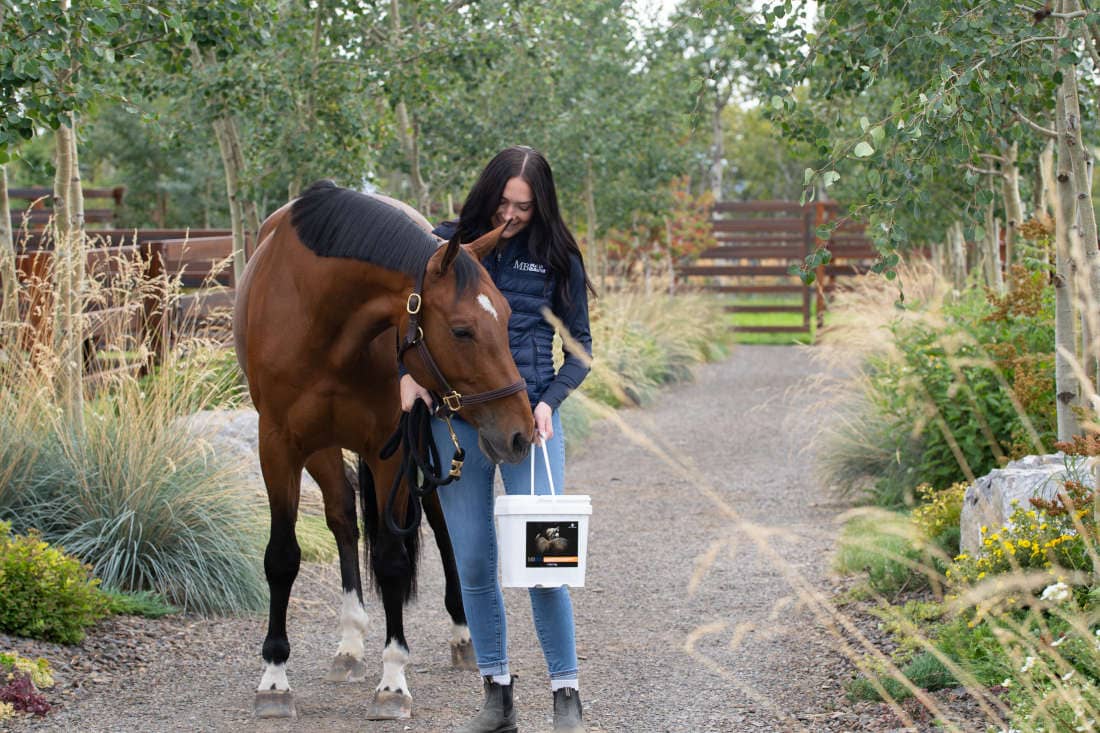 What Are the Best Supplements for Performance Horses?