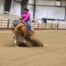 | Mad Barn USA