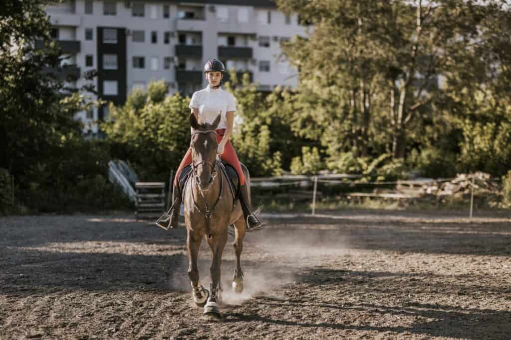 electrolyte imbalance in horses
