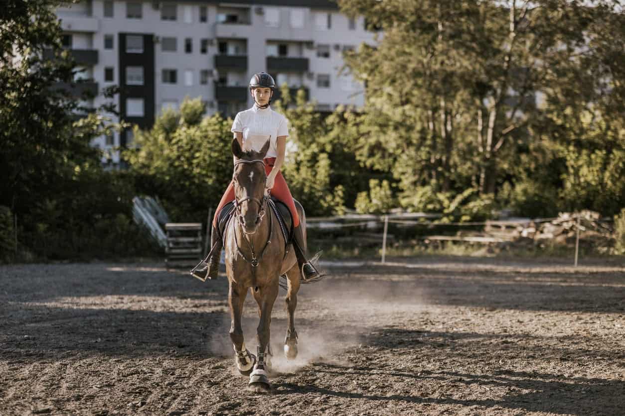 Electrolyte Imbalance in Horses: Signs, Causes & Treatment | Mad Barn