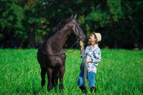 Facial Nerve Paralysis in Horses: Signs, Causes & Treatment