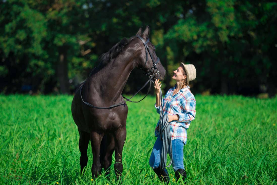 Facial Nerve Paralysis in Horses: Signs, Causes & Treatment