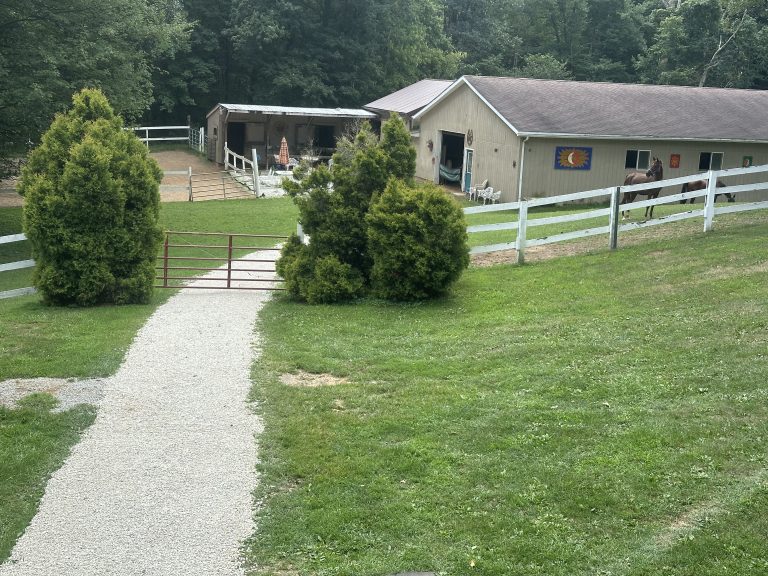ELLER Arabians school of riding and horsemanship