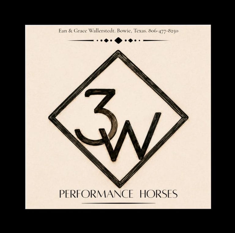 3W Performance Horses