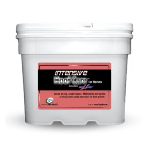 Intensive Hoof Care (Oxy-Gen Equine)