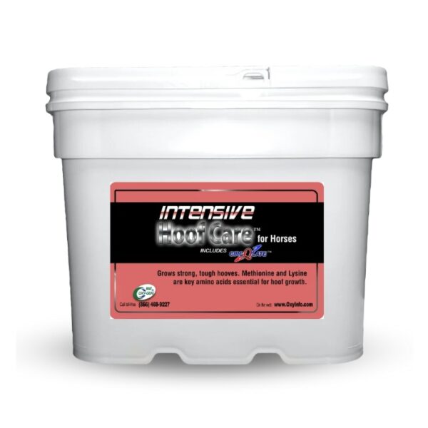 Intensive Hoof Care (Oxy-Gen Equine)