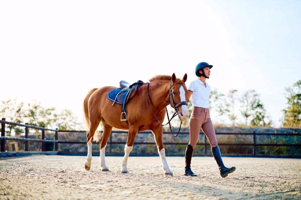 l-carnitine supplementation for horses