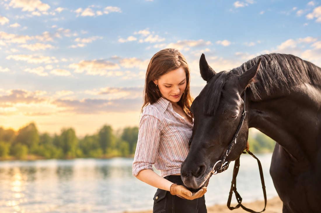 Runny Nose in Horses: Types, Causes & Diagnosis