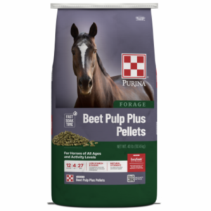 Beet Pulp Plus Pellets (Purina)