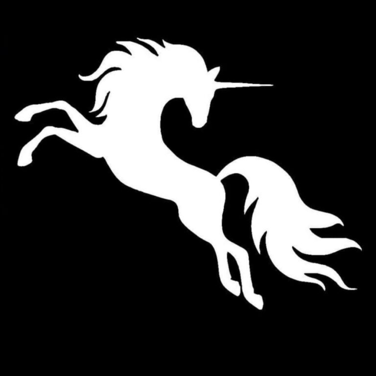 White Horn Saddle Fitter