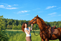 Thoroughpin in Horses: Causes, Symptoms & Treatment